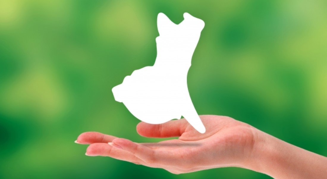 茨城県の相談窓口イメージ