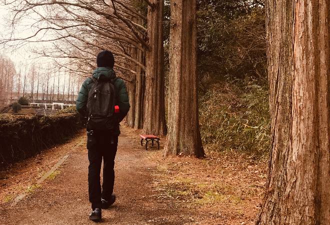 公園を歩く若い男性の後ろ姿。